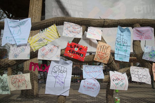 festival de la diversité, racisme, radicalités, radicalité, festival, animation, parc reine astrid, journée internationale de la lutte contre la discrimination raciale, égalité, cal charleroi, charleroi