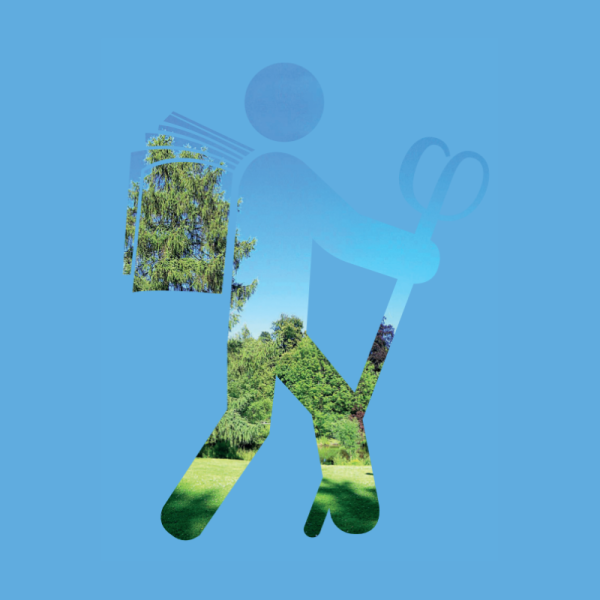 balades philo, balades philo de l'été, charleroi, cal charleroi